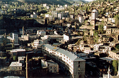 bitlis evden eve nakliyat